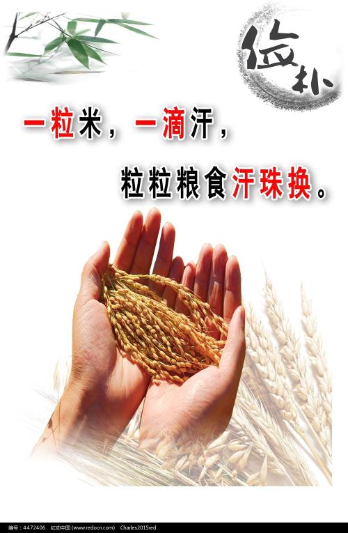 国际驾照到国内能用吗